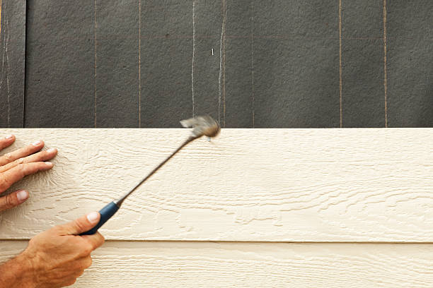 Best Siding for Commercial Buildings  in Munfordville, KY